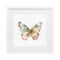 Stupell Industries Muted Watercolor Butterfly Framed Print Under Glass, design by Kim Allen